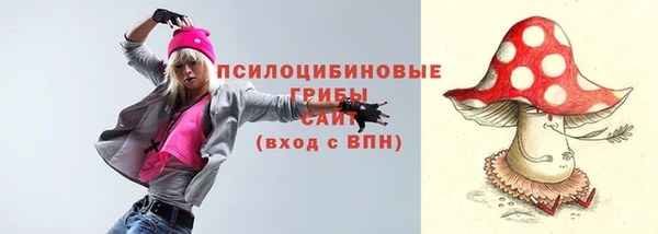 стаф Белоозёрский