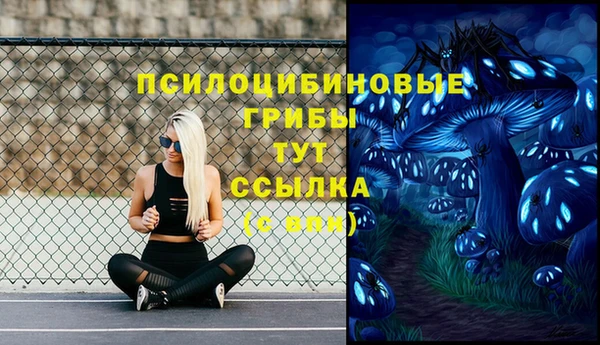 метадон Белокуриха
