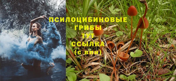 метадон Белокуриха