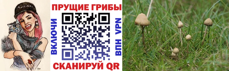 Псилоцибиновые грибы Magic Shrooms МЕГА вход Беломорск